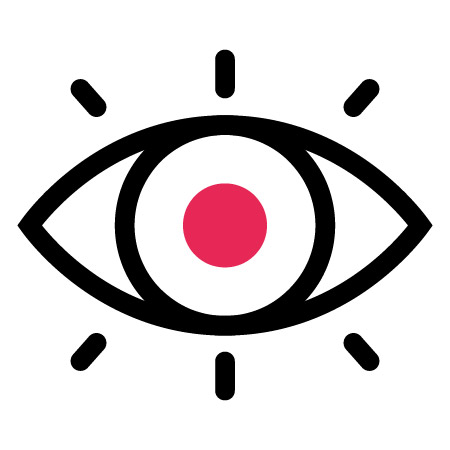 Icon 3